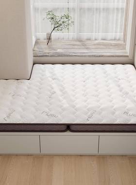 椰棕垫硬床子家用卧室榻垫榻米棕59290榈床垫儿租童床垫8x房用