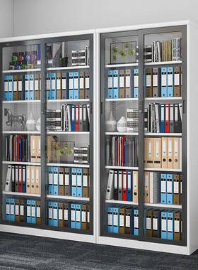 钢制书TKZ柜件柜办公室铁皮资料收柜带密码锁移门案柜档子凭文证