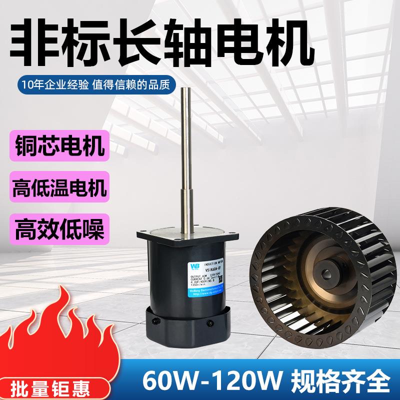 长轴电机6W长轴电机9W120W200W单相2200V耐高温低温电轴机交流微