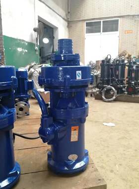 Q农田灌溉深井抽水泵220V/80V扬程D多叶轮工地79669水高泵多3级潜