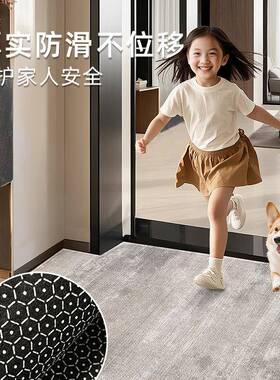 新款垫入户门口地毯感别墅进门地免洗耐脏入门74722垫脚户垫入门