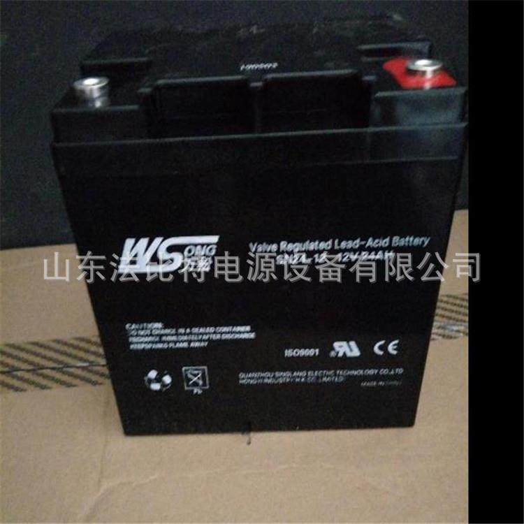 SN50-12万松蓄电池12V50Ah光伏发电太阳能电力储存WS
