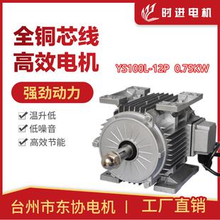 时进电机台州市东协电机YS100L-12P-0.75KW玻璃钢负压风机专用