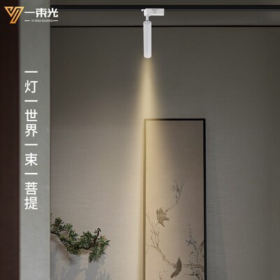 一束光聚光射灯二线轨道茶室博物馆商用餐饮吧台两线led滑轨白色