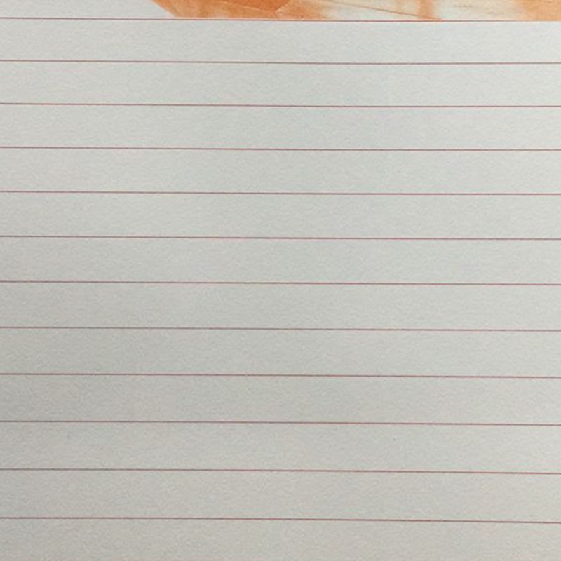 金丝雀500格原稿纸学生作文纸300文稿纸400字方格信纸单行双行本