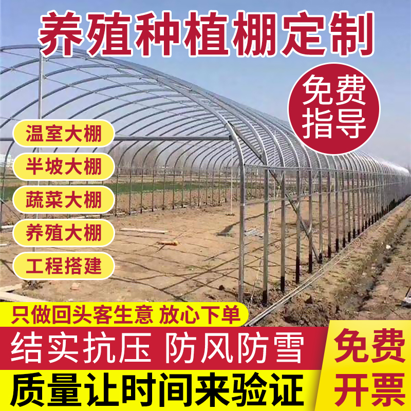 温室大棚钢管骨架定制养殖猪牛羊种植蔬菜大棚连栋热镀支架全套