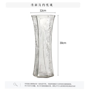 富贵竹龙柳水培植物大号玻璃花瓶透明水养花瓶客厅家用插花瓶摆件