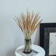 饰道具 摆设装 天然真花麒麟草干花森系田园风家居装 饰插花花材软装
