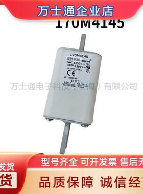 巴斯曼快速熔断器保险丝170M4141170M4145170M4393现货