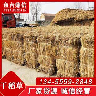 沙漠绿化干稻草大棚稻草草帘子山庄屋顶干稻草草垫子稻草
