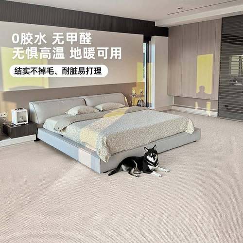 奶房油风满铺地制毯客藻厅卧室素影防水硅丝地垫定尺寸全屋通铺书
