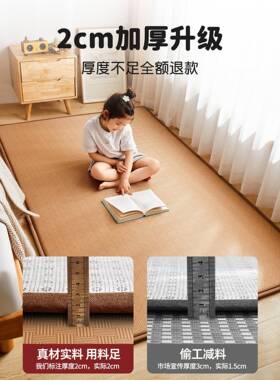 夏用地凉垫榻榻米软垫家用卧室打地铺遮神器睡垫子XYH25323租房专