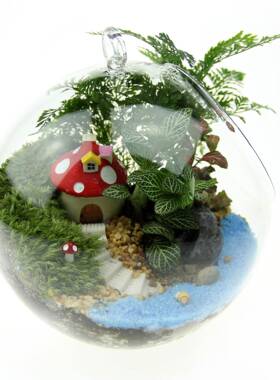 创意礼礼物苔藓微景观tz-20181套装玻璃瓶造瓶材景料16平品底吊牌