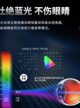 隐风扇灯2025形厅新灯款47599吊扇客餐厅卧室房间一体带电风扇灯