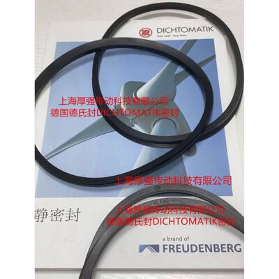 德国DICH封TOMATI32173德克迈特德氏封V水封密圈型V-RINGVL-K190N