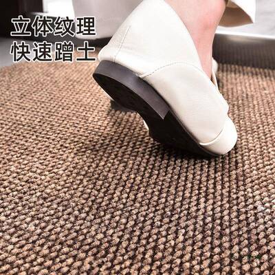 防进入户15215门地垫用门垫大门口地毯滑家除尘耐脏脚垫可裁剪定