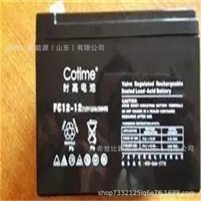 时高蓄电池PLATINE12-12免维护铅酸12V12AHUPS/EPS直流屏电源