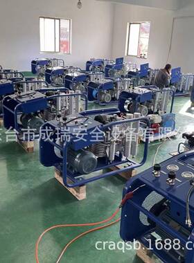 空气呼吸器气瓶充气泵1100L00L填200L300L400L30MPA高压充泵