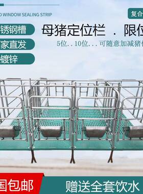 地母猪定位栏限栏猪用栏位养猪设备位新款式加厚母猪限位栏热IVT