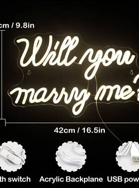 led霓虹灯背板Wmlilyoumarye透明亚克力摆r件氛围可调光霓MJE虹灯