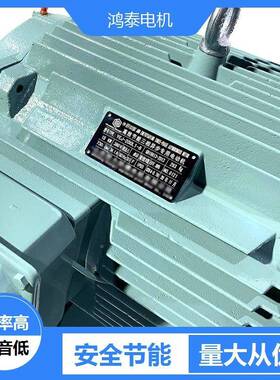 鸿泰效一级Y能三相F异TNE步电机VE5-100L-2t3KWt380Vt冷却方式IC4