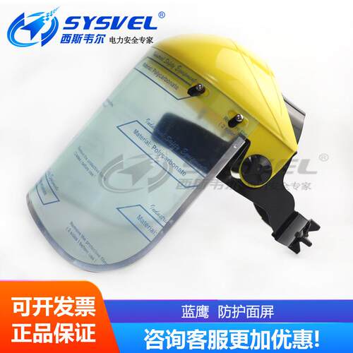 蓝鹰防护面屏防雾冲击飞溅防化喷防溅耐磨损打磨B1YE+FC4实验全护