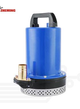 直流潜水泵1寸12v24v48v60v72v高扬程大流量直流泵DCSOLARPUMP