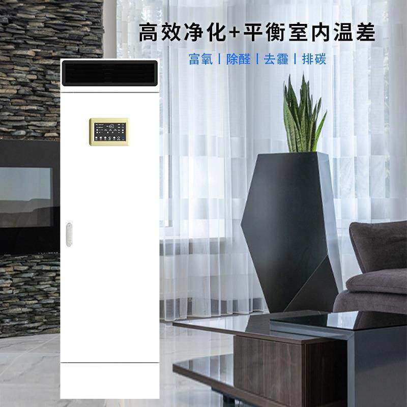 森吉新风系统家用全屋除甲醛换风机柜式换气免打孔新风机除醛除霾