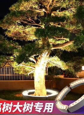 阳射能景庭院灯25908抱树灯户外太防水树灯观园林亮化照树灯庭院