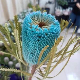 佛塔稀班手克木鲜切花高端有小众花材家瓶插婚HWV庆庭捧花束