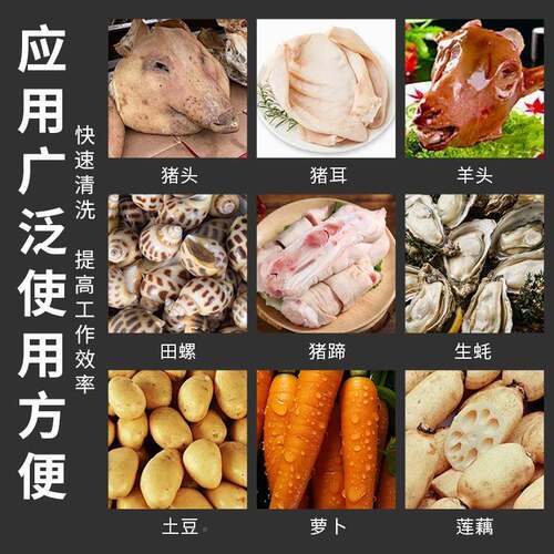 猪头猪蹄EKI牛鸡爪清洗机萝蹄生蚝毛辊头清洗机商用胡卜红薯芋清