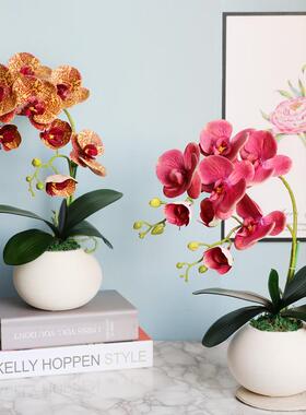 成品仿花摆件内茶几HY1005T花餐真桌套室装摆件家居饰品蝴蝶兰仿