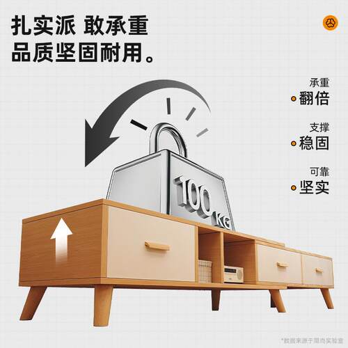 电视柜出租落屋新用2025款家小户型收dsg0040纳储物一体地客厅用