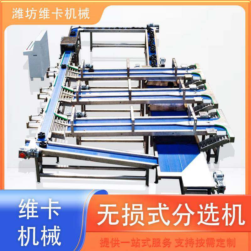 无损选果机磨盘柿子称重分选机水果零损伤重量分级机直销