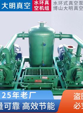 厂供2BV/2BE水环闭式循环机组水环真空机组不锈钢水环真空机组
