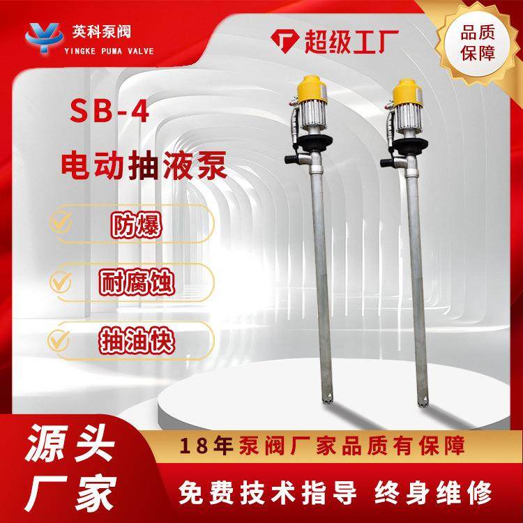 电动抽液泵手提式大功率抽油泵220V油桶泵柴油泵防腐蚀神器加油机,畜牧/养殖物资,畜牧/养殖器械,淘宝优惠券,粉丝福利购,淘宝优惠卷