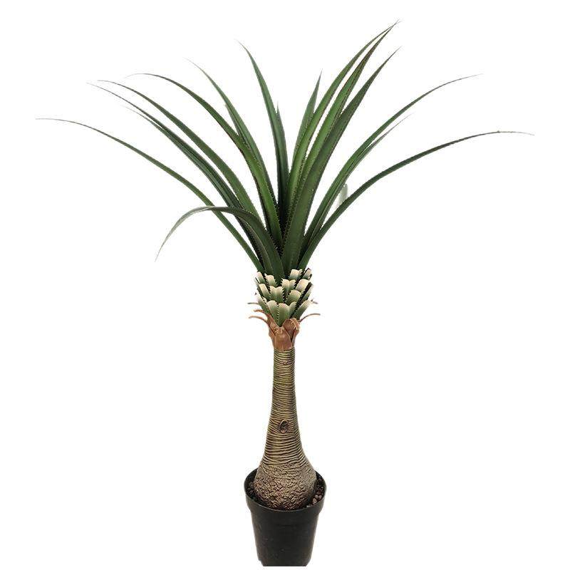 仿真植物剑麻盆栽热带绿植一帆风顺装饰摄影直播造景摆件龙血树,智能设备,其他智能设备,淘宝优惠券,粉丝福利购,淘宝优惠卷