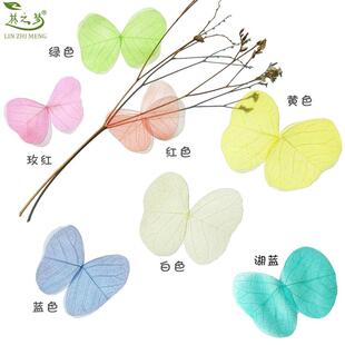 尤加利蝴蝶形小叶脉羽毛形真树叶押花干花贺卡手工书签拼画材料