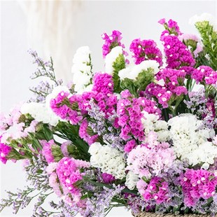 满天星干花花束花瓶摆件客厅插花勿忘我带花瓶装饰摆件干家居摆设