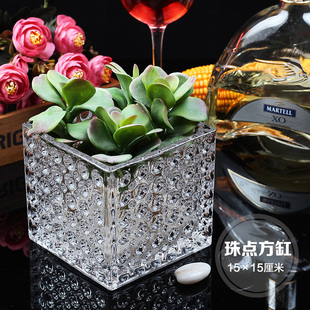 四方玻璃花瓶透明厚插水养绿萝文竹客厅家居摆放无土栽培植物花盆