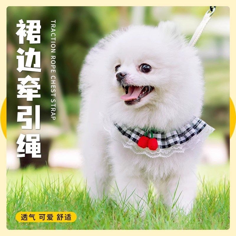 狗狗牵引绳围脖胸背带博美泰迪遛狗绳比熊小型犬宠物猫咪狗链子