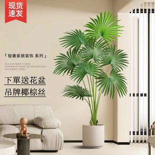 仿真植物蒲葵客厅沙发旁边大型落地绿植装饰摆件室内氛围树假树
