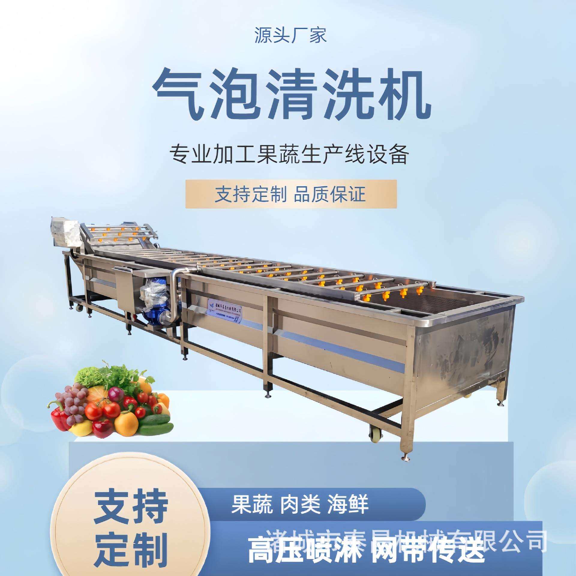 黄瓜榨菜加工生产线山楂金桔气浴清洗设备杨桃蜜桃杨梅蓝莓清洗机