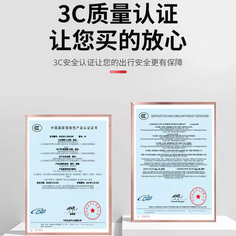 厂现货家电新国标电动自行车捷成人02代步动车便电瓶车