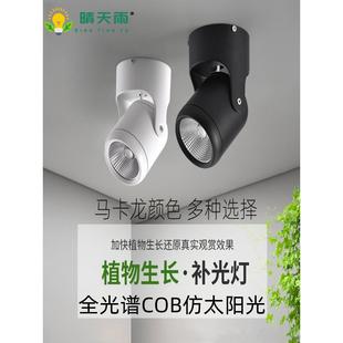 作?OVP植物补光灯全光谱仿合太阳光照雨林缸家用室内LDE光用生长