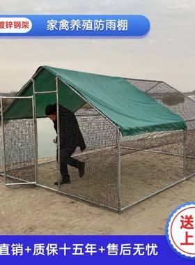 室外棚养大鸡棚型WMI家用鸡笼子殖鸡鸭棚鸽舍遮雨防雨养大户外养