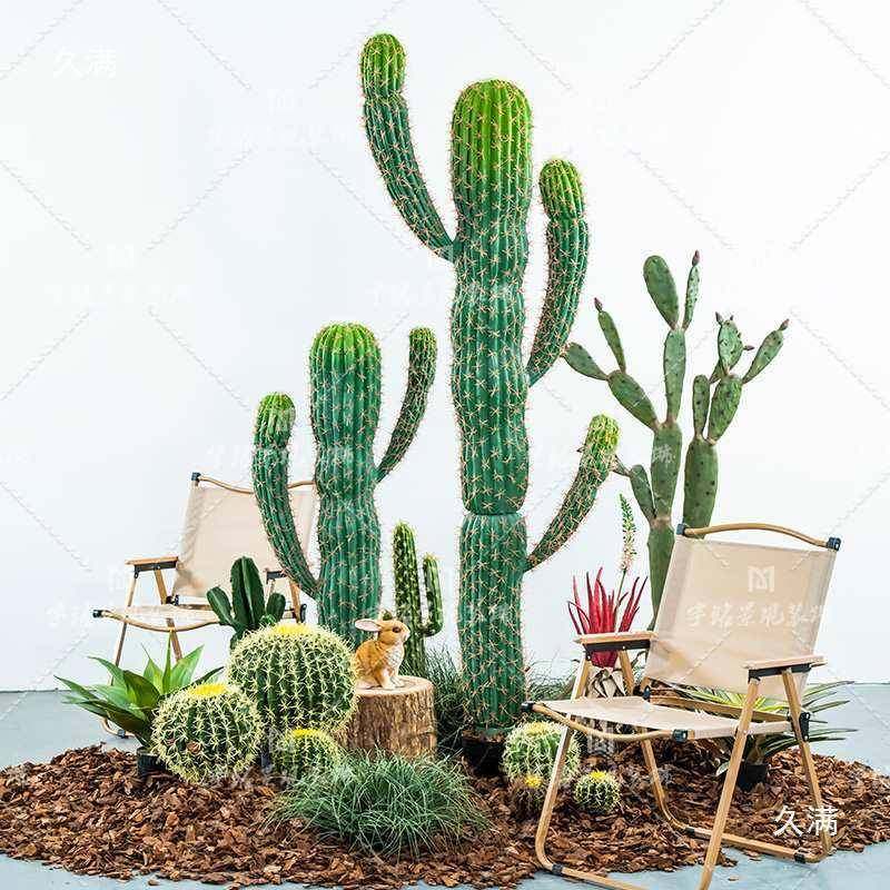 大型仙人掌仙人球仿真创意带绿植组植窗合热物装饰楼梯tlznu+lz角,鲜花速递/花卉仿真/绿植园艺,仿真花,淘宝优惠券,粉丝福利购,淘宝优惠卷