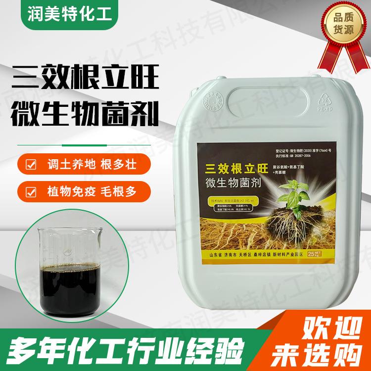 三效根立旺大棚蔬菜草莓调土微生物剂生物发酵三效根立旺