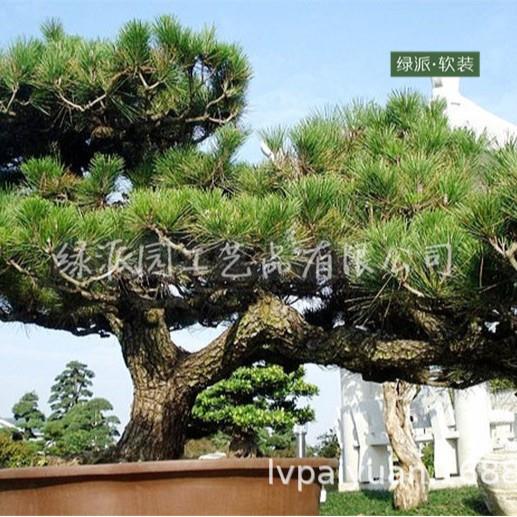 家居客厅花园仿真松树盆栽假迎客松树人造松树大型仿真绿植松树