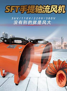 CFT-250工业移动式手提风机SHTCTFSFT除甲醛抽风机换气扇